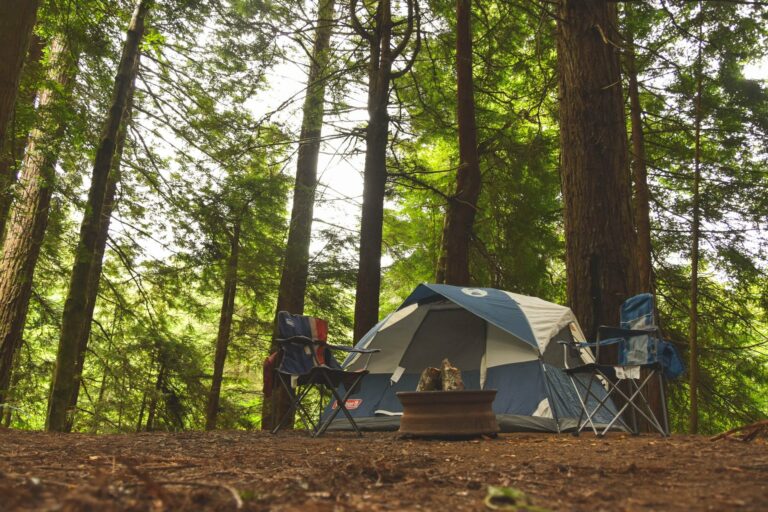 Bäst i test: bästa campingbordet 2024